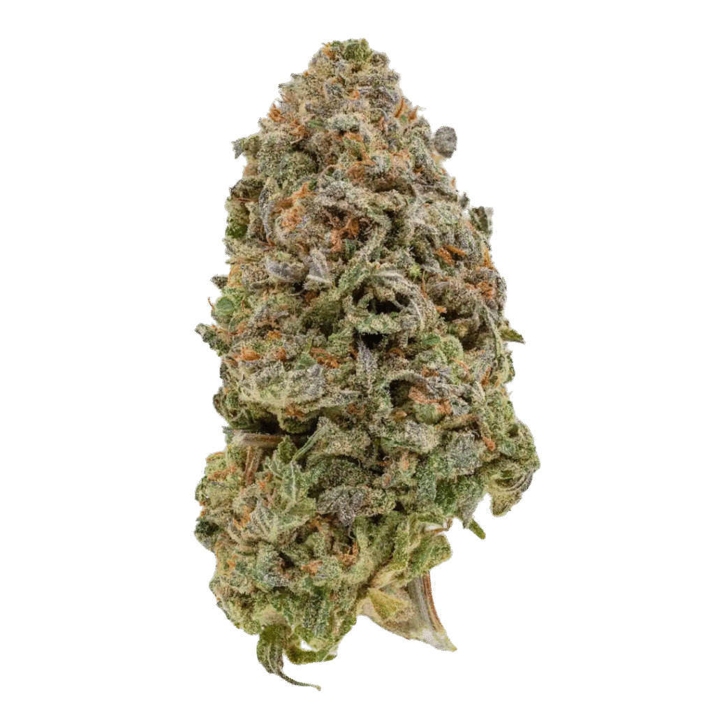 Blueberry Kush Strain​