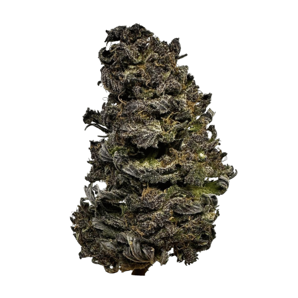 Venom OG Strain