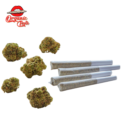 Tier 4 PreRolls