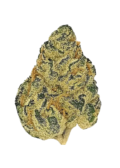 Wagyu Strain