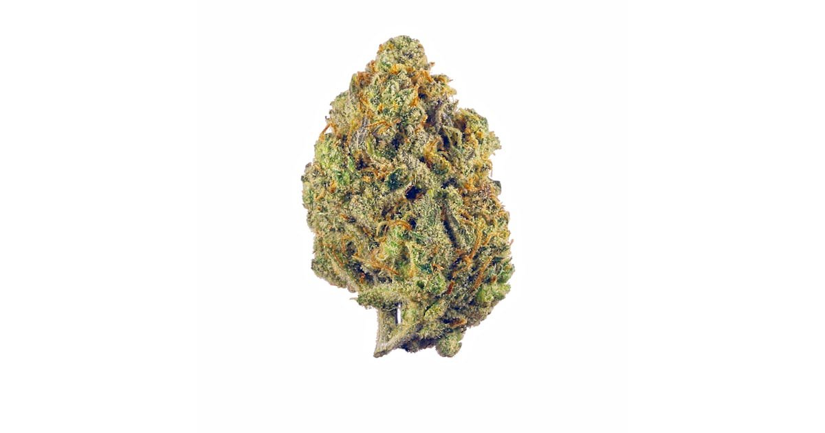 blue gelato strain