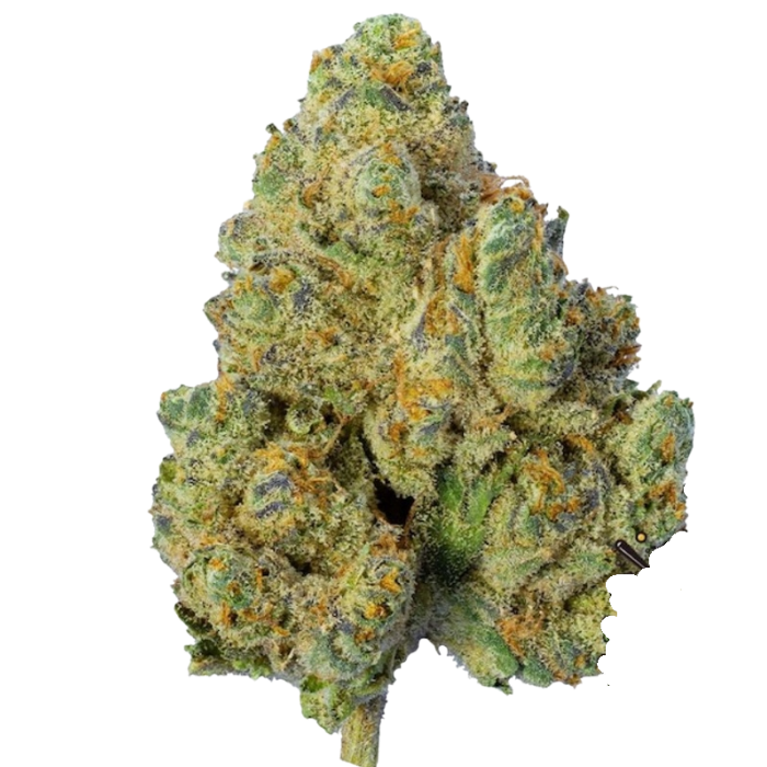 Garlic Breath Strain