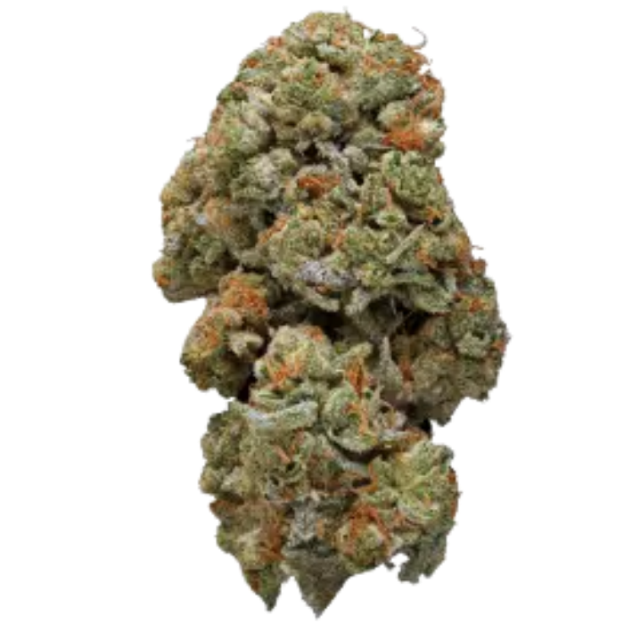 Golden Ticket Strain